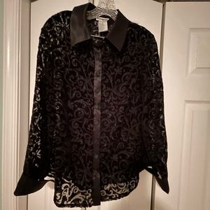 Sheer Dressy Blouse
